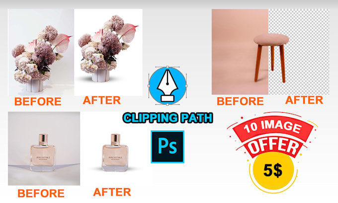 Gig Preview - Do professional clipping path and background removal service