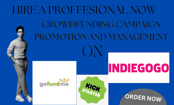 Gig Preview - Do campaign promotion and management for you