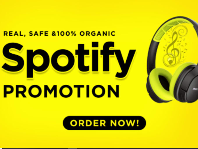 Gig Preview - Do 1000 spotify followers promotion marketing to increase music songs, listener