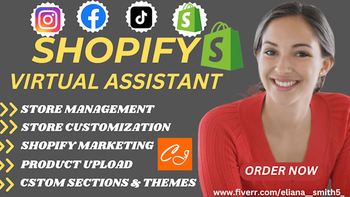 Gig Preview - Be  your shopify virtual assistant to elevate your shopify dropshipping store