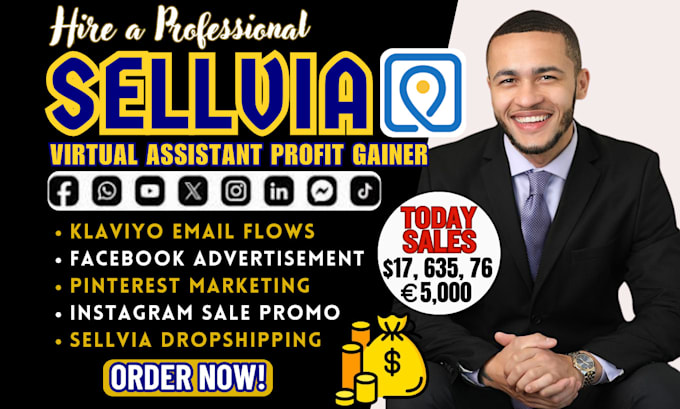 Gig Preview - X20 profit on high ticket sellvia marketing ecommerce dropshipping store VA