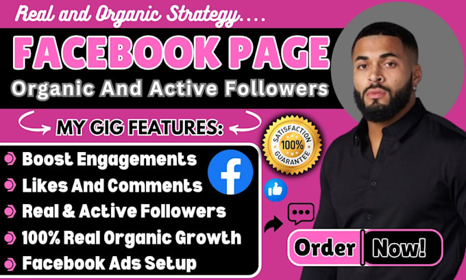 Gig Preview - Grow your facebook page followers fast organically instagram promotion