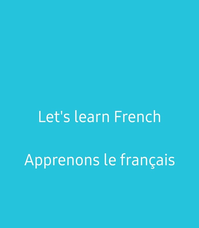 Gig Preview - Provide funful french tutoring services