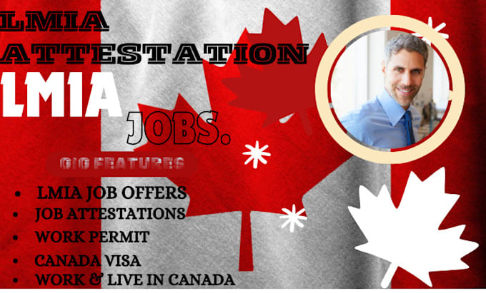 Gig Preview - Assist you with lmia application, work permit, and visa processing for canada