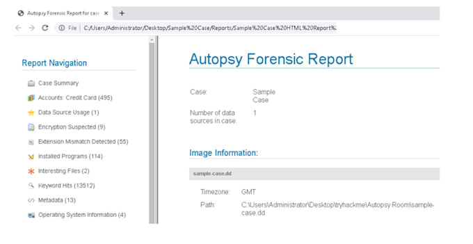 Gig Preview - Do digital forensics, malware and log analysis