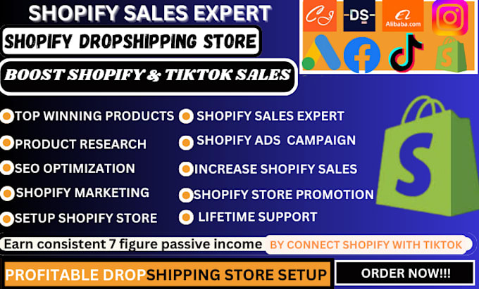 Gig Preview - Be your shopify sales expert, promote shopify store and run shopify marketing