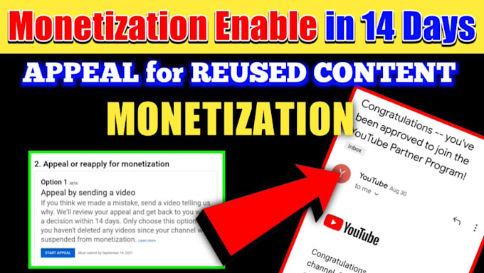 Gig Preview - Create youtube automation channel and fix monetization issues