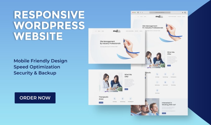 Gig Preview - Design, recreate and develop a responsive wordpress website