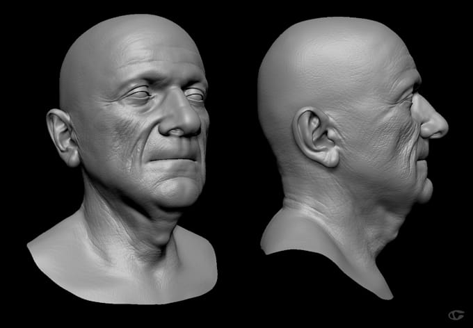 Gig Preview - 3d head bust 3d modeling character model 3d face model 3d stl for 3d printing