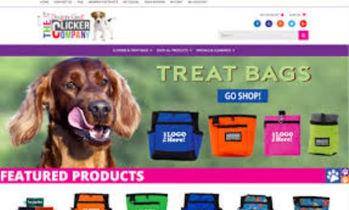 Gig Preview - Setup shopify pet accessories store pet product website pet shopify store