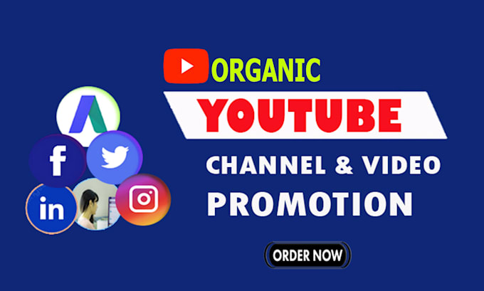 Gig Preview - Organic targeted youtube video promotion with ads campaign