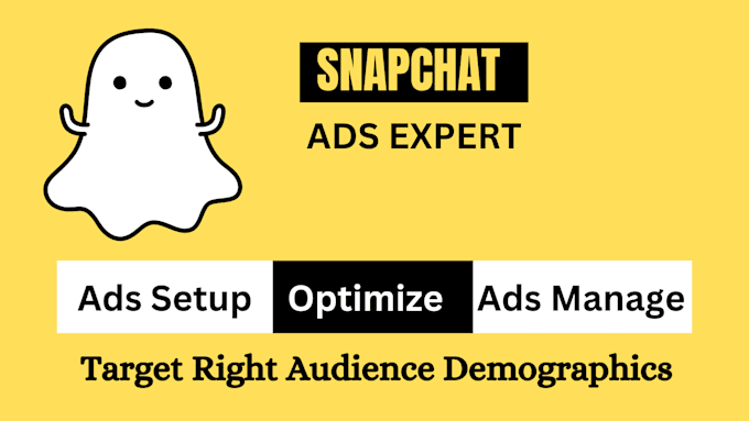 Gig Preview - Run profitable snapchat ads campaign for your business