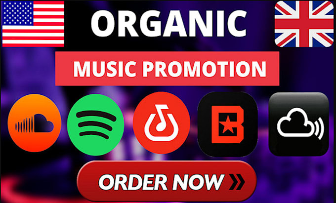 Gig Preview - Organically promote your electronic music song track album in USA or any country