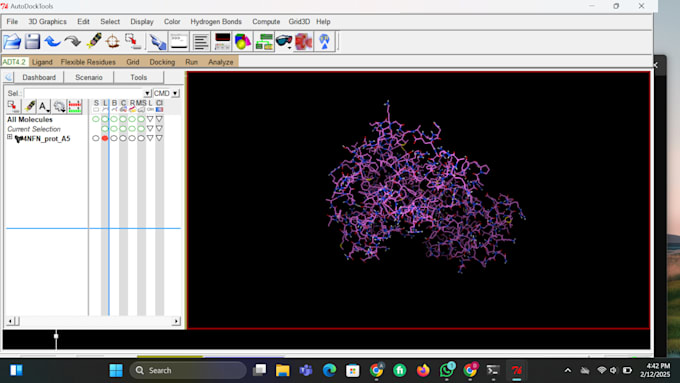 Gig Preview - Do molecular docking,drug designing,primer designing