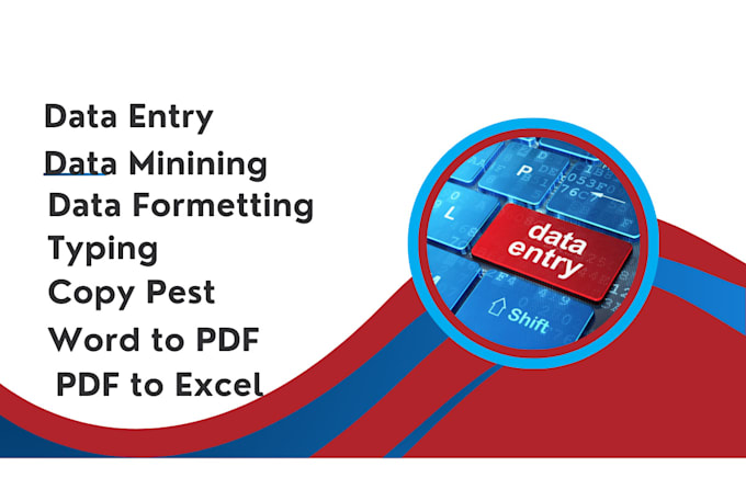 Gig Preview - Do fastest excel data entry, PDF to excel