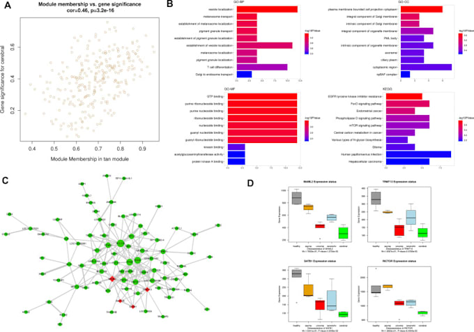 Bestseller - perform advance bioinformatics and gene expression analysis