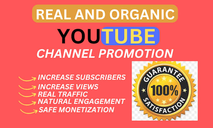 Gig Preview - Complete youtube channel monetization requirements