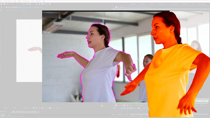 Gig Preview - Professionally rotoscope your videos with precision