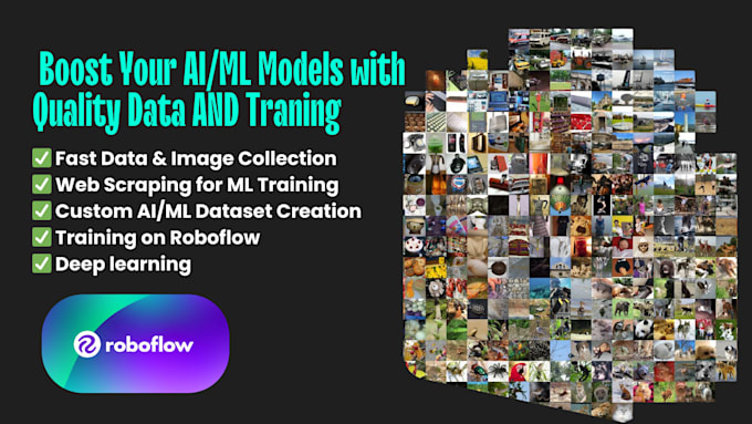 Gig Preview - Do image collection, annotation deep learning yolo, segmentation on roboflow