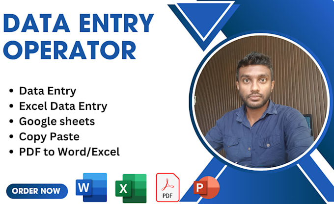 Bestseller - do fast and accurate data entry in excel or google sheets