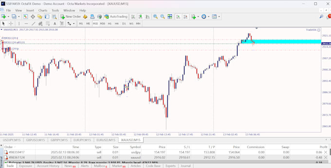 Gig Preview - Create a mt4 or mt5 auto trading bot based on your startegy