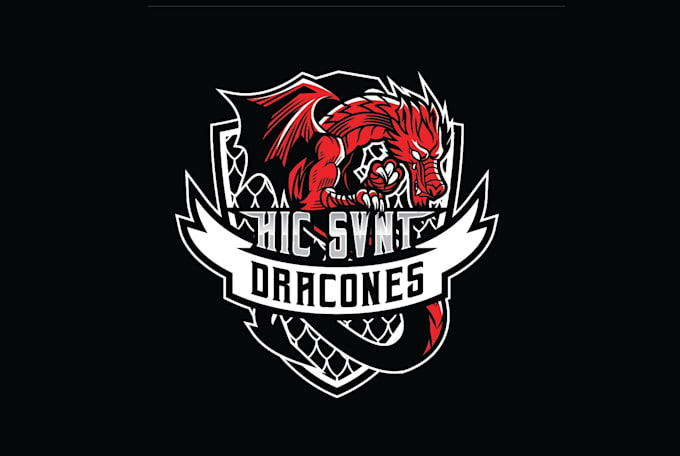 Gig Preview - Design dragon fighting pose MMA team logo