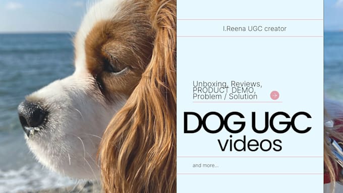 Gig Preview - Create authentic ugc videos for dog products