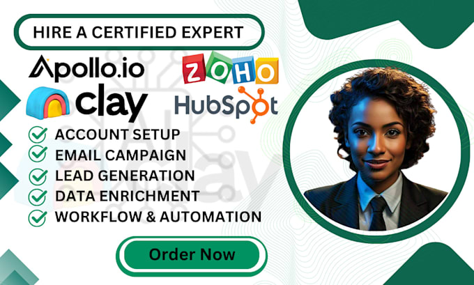 Gig Preview - Set up automation workflows with apollo io clay hubspot instantly ai management