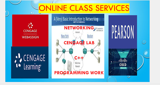 Gig Preview - Teach you networking, cengage lab, cisco, sql, c programming