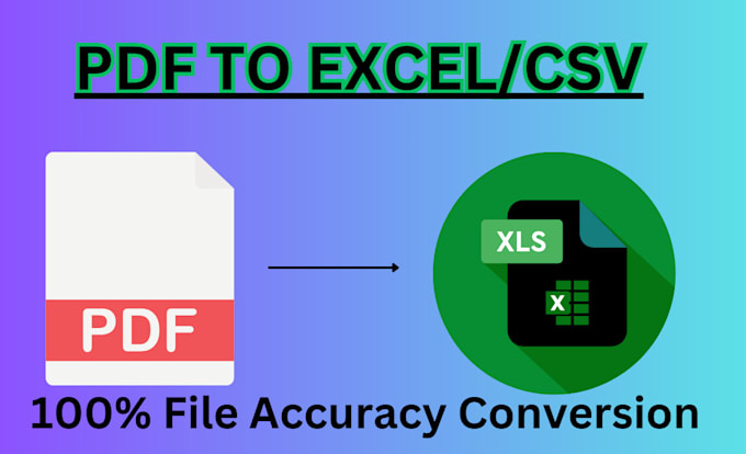 Gig Preview - Convert PDF or scanned files to excel sheets fast manual data entry