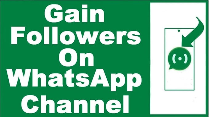 Gig Preview - Promote whatsapp channel,whatsapp group,massdm to gain real and active followers