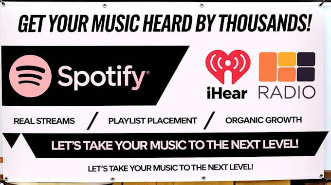 Gig Preview - Promote your music on spotify and iheartradio as a professional promoter