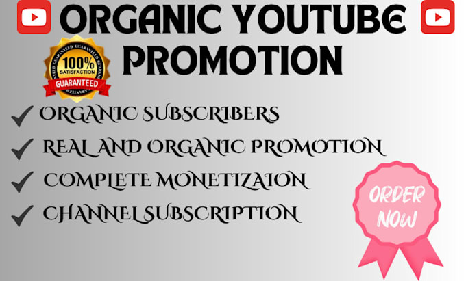 Gig Preview - Do organic youtube video and channel promotion with social media