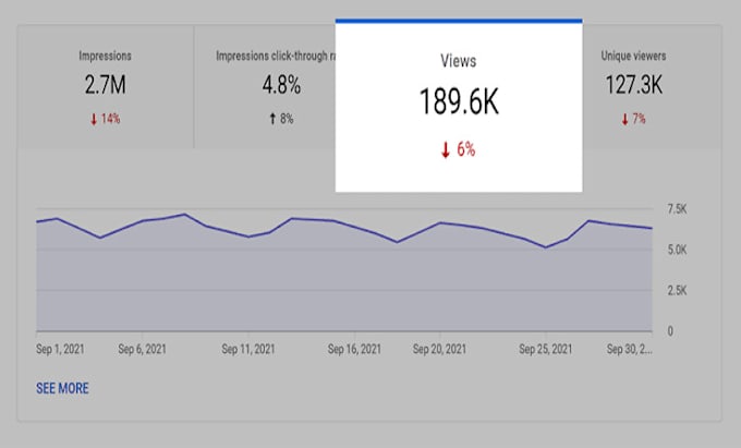 Gig Preview - Organically promote your youtube video through google ads