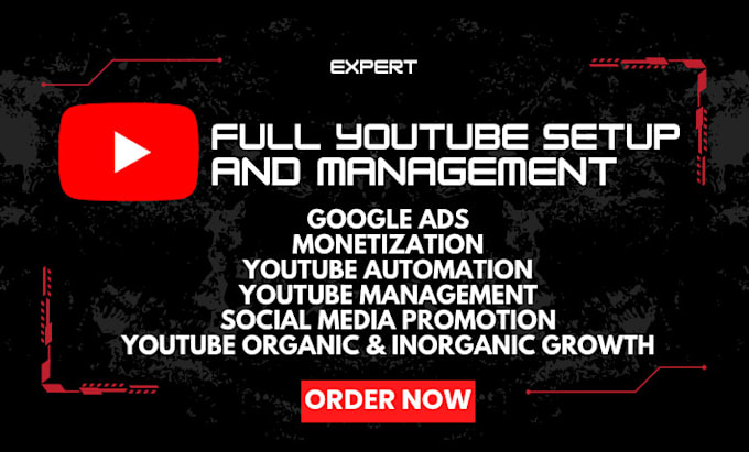 Gig Preview - Manage youtube handle channel and grow channel with organic growth google ads