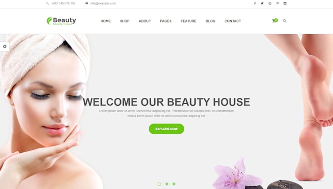 Bestseller - design shopify one product dropshipping store droppshing website redesign