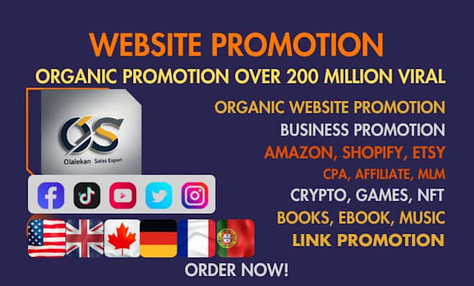 Gig Preview - Organic website promotion, increase website traffic, shopify, amazon etsy or ads