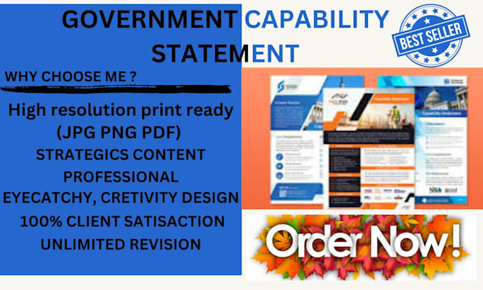 Gig Preview - Design a professional government capability statement and capability statement