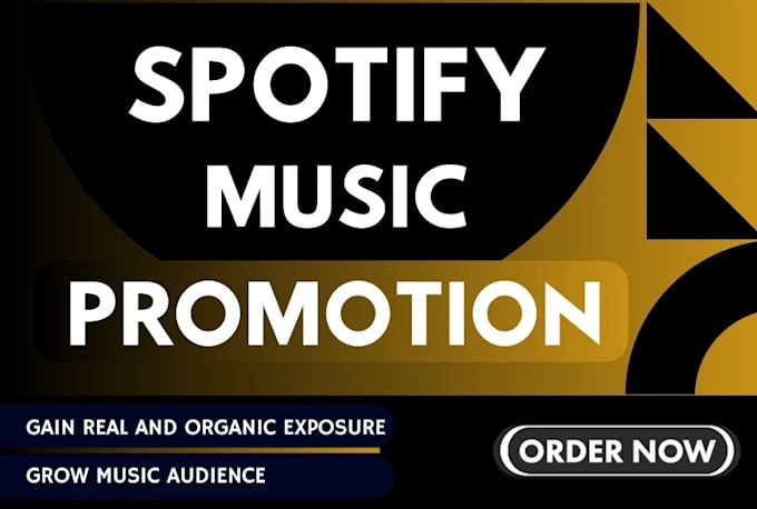 Gig Preview - Do active USA organic spotify music promotion and spotify streams listeners