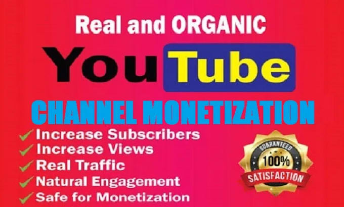 Gig Preview - Fast youtube channel promotion via google ads to gain views and moneti