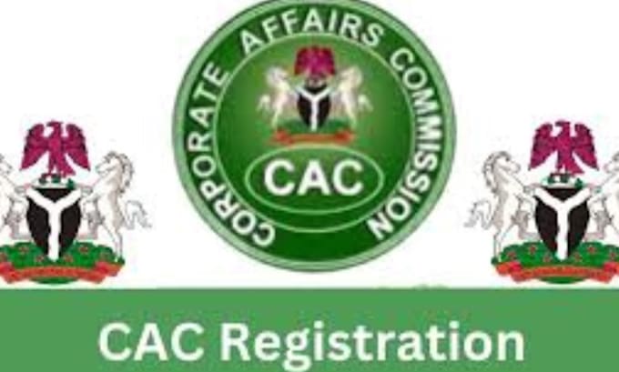 Gig Preview - Do nigeria company registration