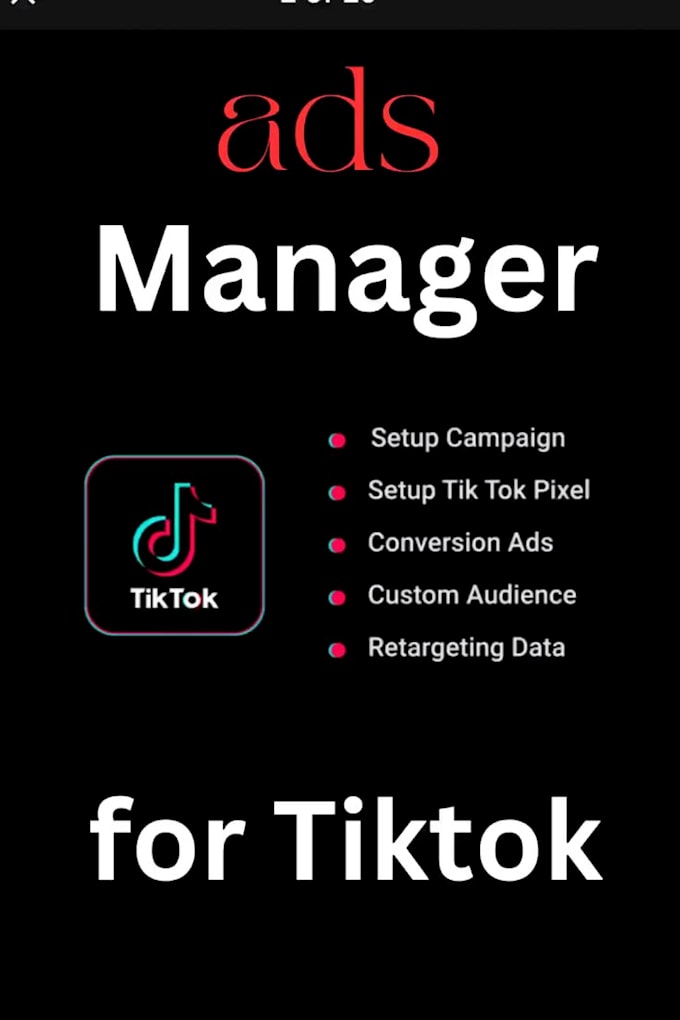 Gig Preview - Run tik tok ads, tik tok ads manager, and tiktok marketing