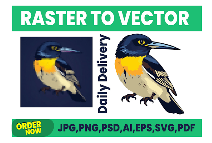 Bestseller - professional raster to vector conversion