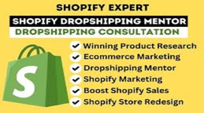 Gig Preview - Be your shopify dropshipping mentor, sales coach and marketing phase