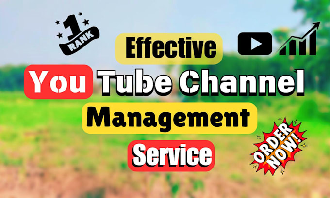 Gig Preview - Do youtube channel management and optimization to boost your growth