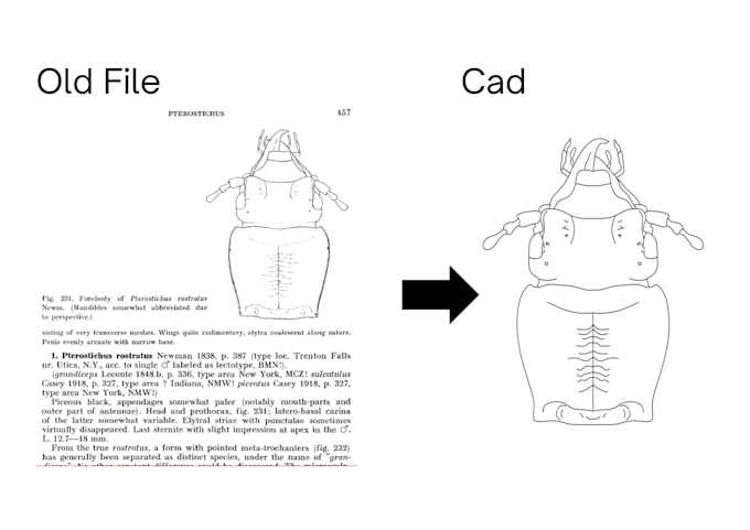 Gig Preview - Create everything old file into cad