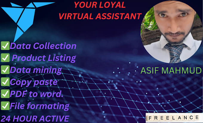 Bestseller - be best virtual assistant for data entry, data mining