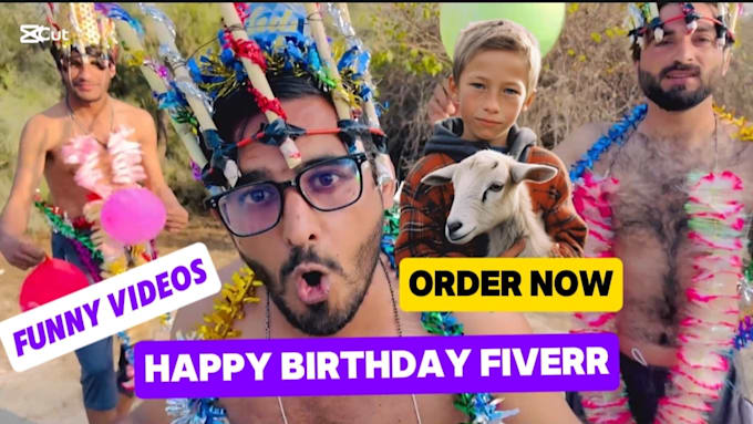 Gig Preview - Make funny and crazy happy birthday video happy funny style