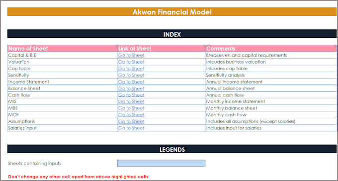 Gig Preview - Prepare an investor ready business plan with a comprehensive financial model