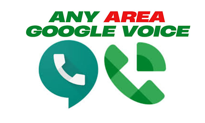 Gig Preview - Provides the best google voice with 1 day